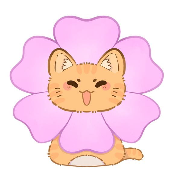 Fleur de nuage 